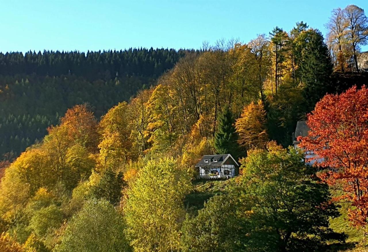 Jagthaus Am Rappelstein Villa Шмаленберг Екстериор снимка